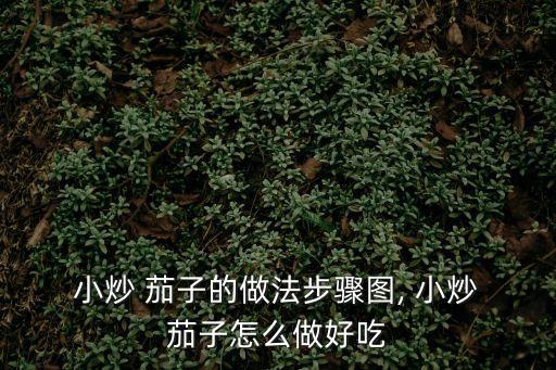  小炒 茄子的做法步驟圖, 小炒 茄子怎么做好吃
