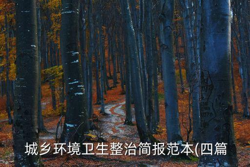  城鄉環境衛生整治簡報范本(四篇