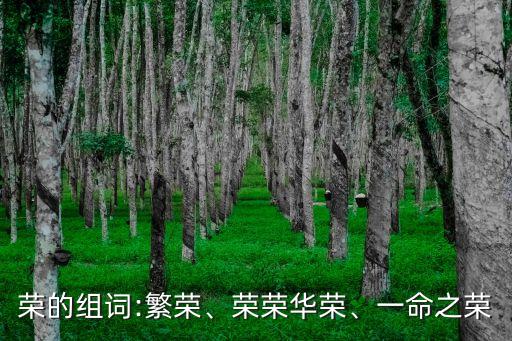 榮的組詞:繁榮、榮榮華榮、一命之榮