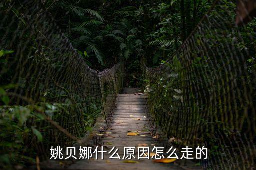 紅顏劫姚貝娜,《紅顏劫》下載地址