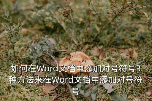 如何在Word文檔中添加對號符號3種方法來在Word文檔中添加對號符號