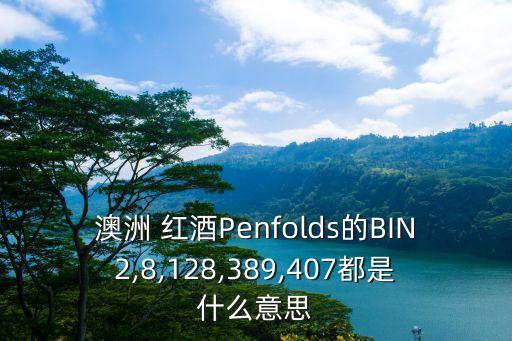 澳洲 紅酒Penfolds的BIN2,8,128,389,407都是什么意思