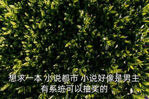 想求一本 小說都市 小說好像是男主有系統可以抽獎的