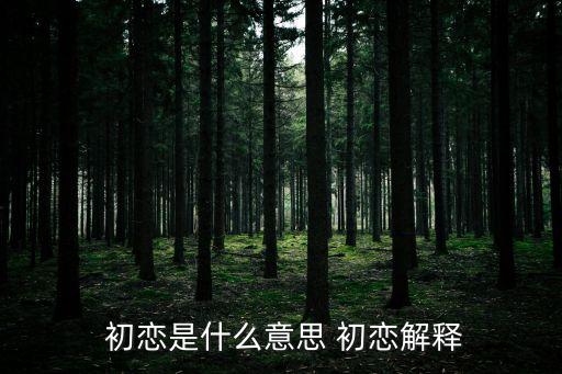 初戀是什么意思,戀愛是什么?