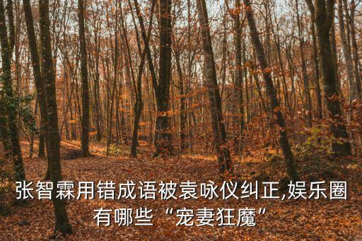 張智霖用錯成語被袁詠儀糾正,娛樂圈有哪些“寵妻狂魔”