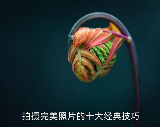 拍攝技巧,想知道照相機拍攝技巧有哪些?