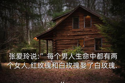 張愛玲簡介,張愛玲簡介，《傳奇》作者