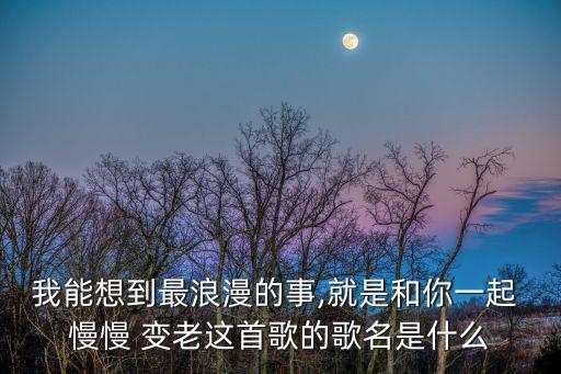 我能想到最浪漫的事,就是和你一起 慢慢 變老這首歌的歌名是什么