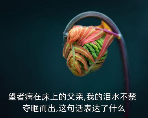 望者病在床上的父親,我的淚水不禁 奪眶而出,這句話表達了什么