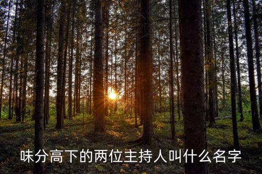 味分高下的兩位主持人叫什么名字