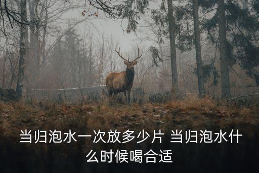  當歸泡水一次放多少片 當歸泡水什么時候喝合適