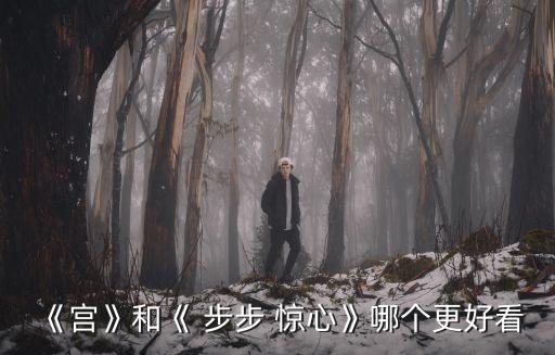 《宮》和《 步步 驚心》哪個(gè)更好看