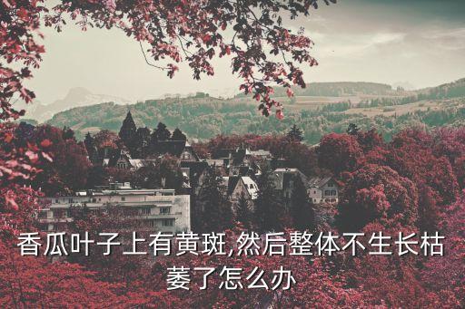 黃瓜葉斑病,黃瓜底部葉片早衰變黃或因缺水少肥造成
