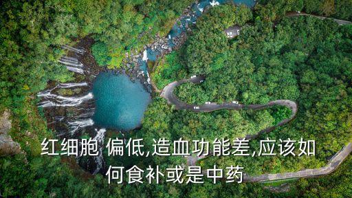  紅細胞 偏低,造血功能差,應該如何食補或是中藥