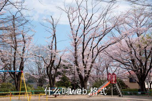 什么叫web 格式
