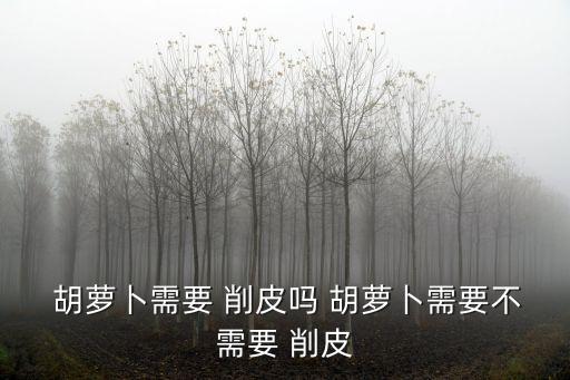  胡蘿卜需要 削皮嗎 胡蘿卜需要不需要 削皮