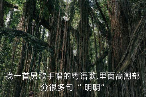 找一首男歌手唱的粵語歌,里面高潮部分很多句“ 明明”