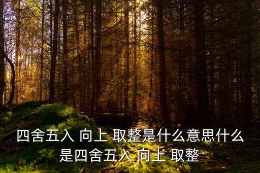向上取整,從哪里開始取整?
