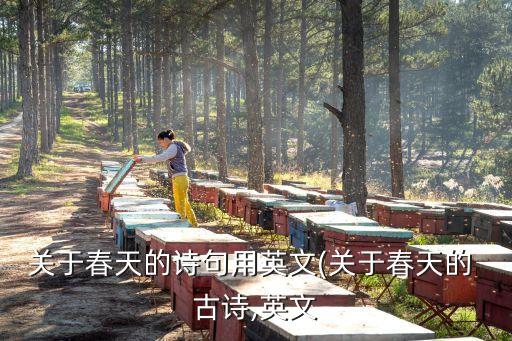 關(guān)于春天的詩(shī)句用英文(關(guān)于春天的 古詩(shī),英文