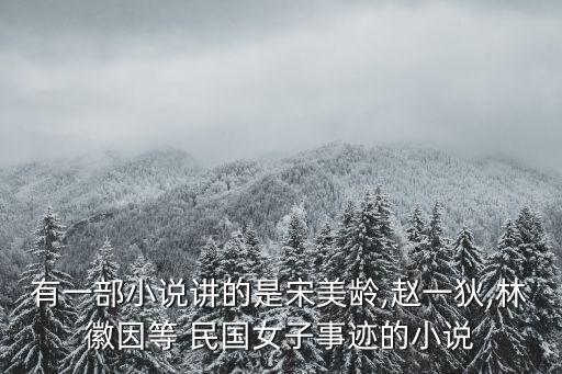 有一部小說講的是宋美齡,趙一狄,林徽因等 民國女子事跡的小說