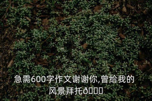 急需600字作文謝謝你,曾給我的 風(fēng)景拜托?