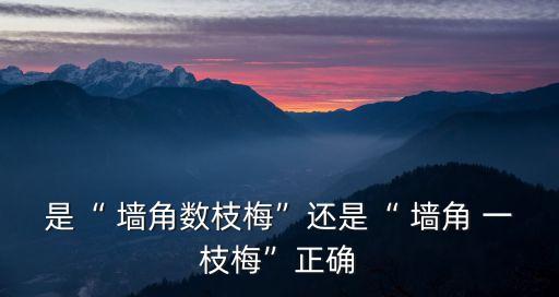 是“ 墻角數枝梅”還是“ 墻角 一枝梅”正確