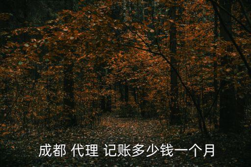 成都代理記賬,成都代理記賬公司會計報稅服務優點:比較專業