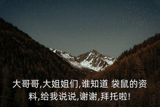 袋鼠的壽命,密袋鼠壽命是多久?