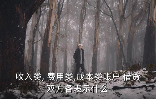 管理費用借貸方向,管理費用明細賬怎么登記?