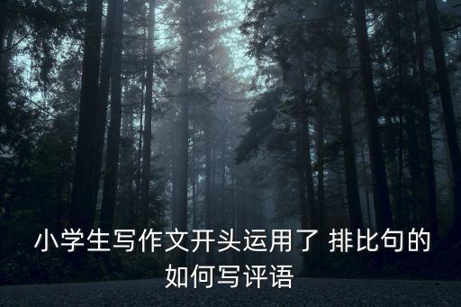  小學生寫作文開頭運用了 排比句的如何寫評語