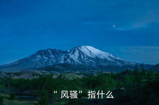 “ 風騷”指什么