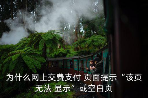 頁面無法顯示,瀏覽器沒有升級加密級別低無法進入銀行系統