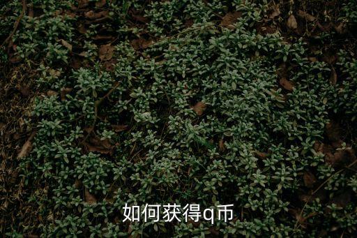 如何獲得q幣