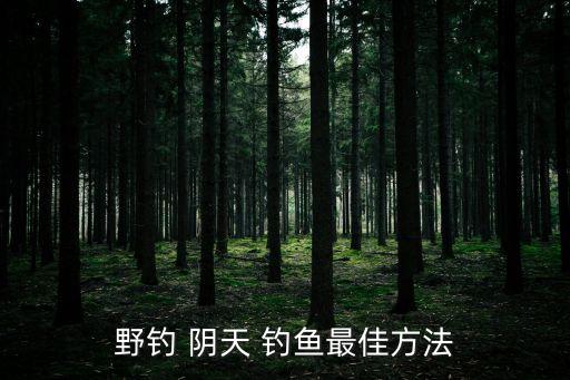 陰天釣魚,冬天冷天好釣魚嗎?冬天陰天不好釣