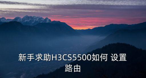新手求助H3CS5500如何 設置路由