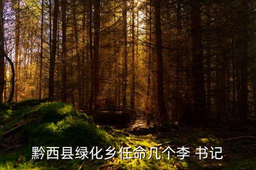 李書記,貴州省黔西縣綠化鄉人民政府駐地駐有1李書記