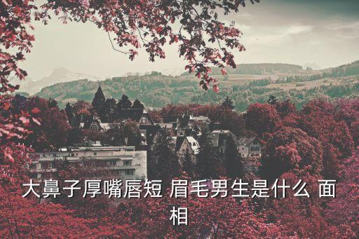 大鼻子厚嘴唇短 眉毛男生是什么 面相