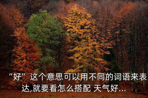 “好”這個意思可以用不同的詞語來表達,就要看怎么搭配 天氣好...