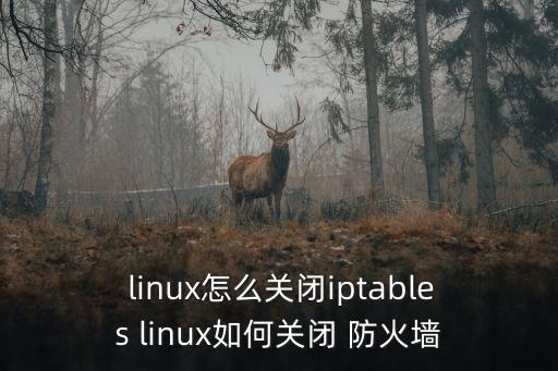  linux怎么關閉iptables linux如何關閉 防火墻