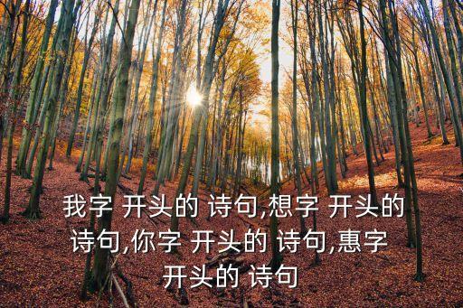 我字開頭的詩句,第一集:我和李艾有永恒的詩意!