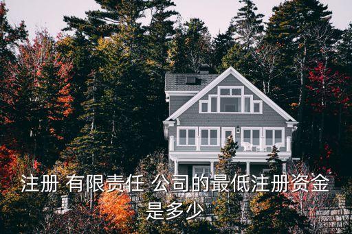 注冊(cè) 有限責(zé)任 公司的最低注冊(cè)資金是多少