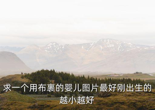 求一個用布裹的嬰兒圖片最好剛出生的越小越好