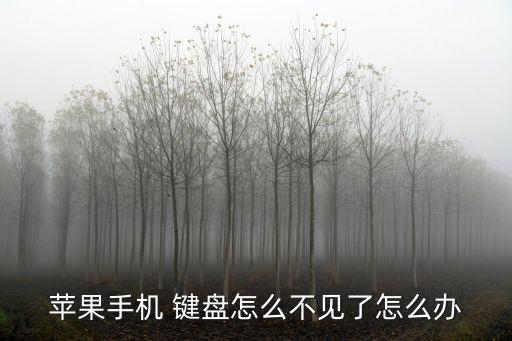 iphone鍵盤,手寫鍵盤怎么設(shè)置?