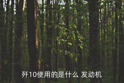 殲10使用的是什么 發(fā)動(dòng)機(jī)