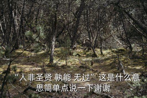 “人非圣賢 孰能 無過”這是什么意思簡單點說一下謝謝