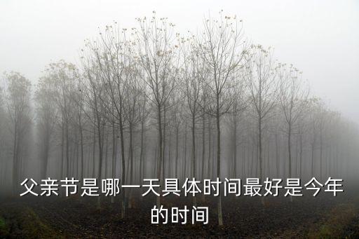  父親節是哪一天具體時間最好是今年的時間