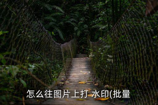 怎么往圖片上打 水印(批量