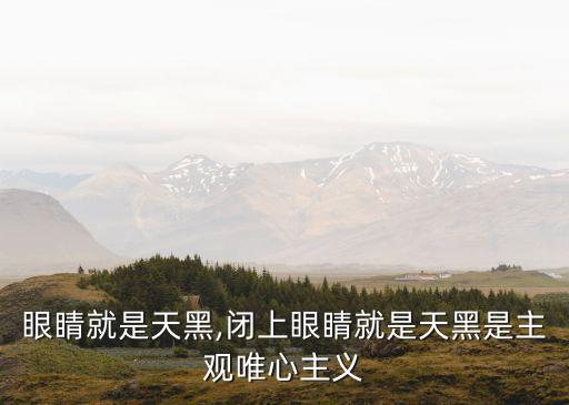 閉上眼睛就是天黑,閉上眼睛就是天黑是主觀唯心主義?