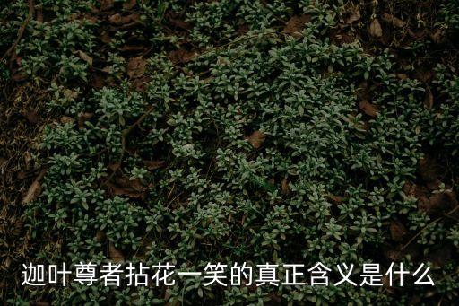 迦葉尊者拈花一笑的真正含義是什么