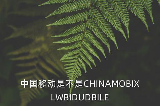 中國移動(dòng)是不是CHINAMOBIXLWBIDUDBILE